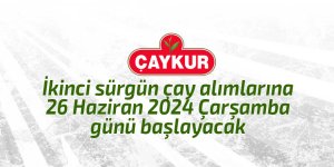 Çaykur 2. sürgün yaş çay alımlarına başlıyor