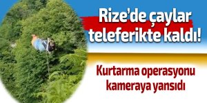 Rize’de çay kurtarma operasyonu