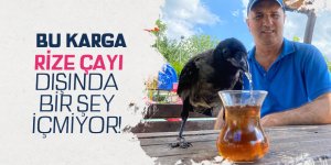 Karga, Rize çayı dışında bir şey içmiyor