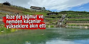 Rize'de yağmur ve nemden kaçanlar yükseklere akın etti