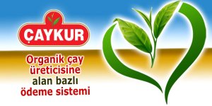 Çaykur organik çay üreticisine alan bazlı ödemeye geçti