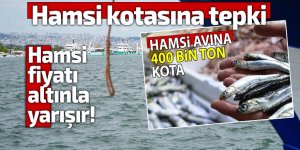 Hamsi kotasına tepki: Fiyatı altınla yarışır!