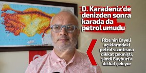 D. Karadeniz'de denizden sonra karada da petrol umudu