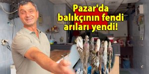 Pazar'da balıkçının fendi, arıları yendi!