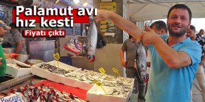 Palamut avı hız kesti