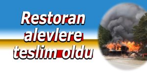 Restoran alevlere teslim oldu