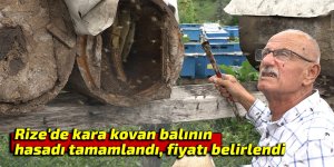 Rize'de kara kovan balının hasadı tamamlandı, fiyatı belirlendi