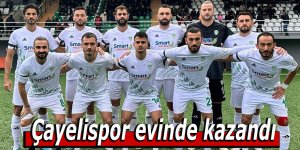 Çayelispor evinde kazandı