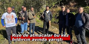 Rize'de atmacalar bu kez bıldırcın avında yarıştı