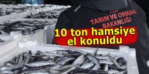 10 ton hamsiye el konuldu