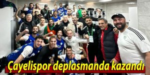 Çayelispor deplasmanda kazandı