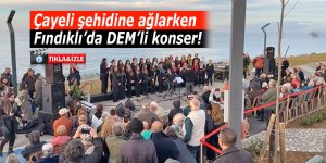 Çayeli şehidine ağladığı gün, Fındıklı'da DEM'li konser!