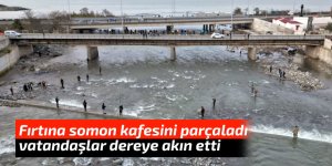 Fırtına somon kafesini parçaladı, vatandaşlar dereye akın etti