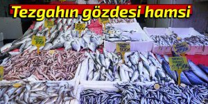 Tezgahın gözdesi hamsi