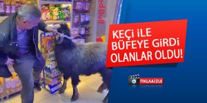 Keçi ile büfeye girdi, olanlar oldu!