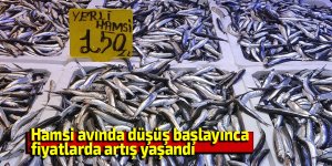 Hamsi avında düşüş başlayınca fiyatlarda artış yaşandı