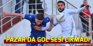 Pazarspor beraberlikle yetindi