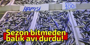 Sezon bitmeden balık avı durdu!