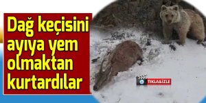 Dağ keçisini ayıya yem olmaktan kurtardılar