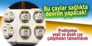 SAĞLIKTA DEVRİM YAPACAK ÇAY!