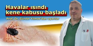 Havalar ısındı, kene kabusu başladı