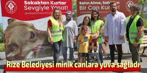 Rize Belediyesi minik canlara yuva sağladı