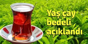 Yaş çay bedeli açıklandı