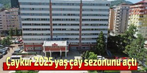 Çaykur 2025 yaş çay sezonunu açtı