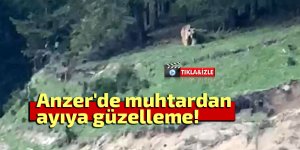 Anzer'de muhtardan ayıya güzelleme!
