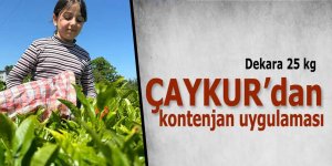 ÇAYKUR’dan kontenjan uygulaması