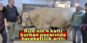 Rize'de 4 katlı kurban pazarında hareketlilik arttı