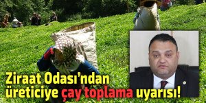 Rize'de çay üreticisine "Hasada ara verin" çağırısı