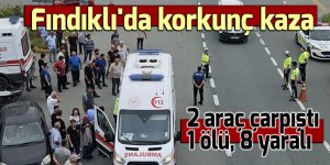 Fındıklı'da korkunç kaza. İki araç çarpıştı: 1 ölü, 8 yaralı