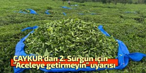 ÇAYKUR’dan 2. Sürgün için "Aceleye getirmeyin" uyarısı
