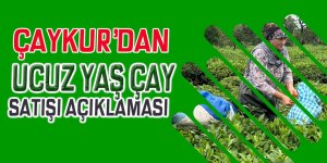 Çaykur'dan ucuz yaş çay satışı açıklaması