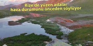Rize'de yüzen adalar hava durumunu önceden söylüyor