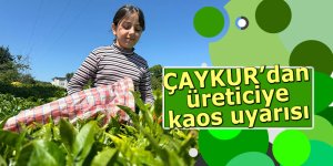 ÇAYKUR'dan üreticiye kaos uyarısı