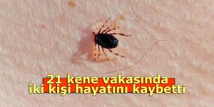 21 kene vakasında iki kişi hayatını kaybetti