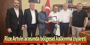 Rize Artvin arasında bölgesel kalkınma ziyareti