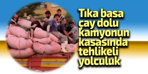 Tıka basa çay dolu kamyonun kasasında tehlikeli yolculuk
