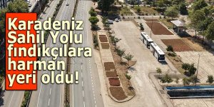 Karadeniz Sahil Yolu fındıkçılar için harman yeri oldu!
