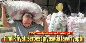 Fındık fiyatı serbest piyasada tavan yaptı!