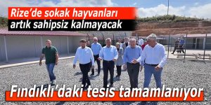 Rize'de sokak hayvanları yaşam alanı tamamlanıyor