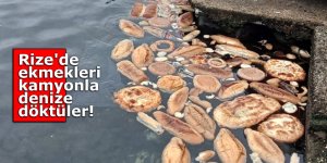 Rize'de ekmekleri kamyonla denize döktüler!