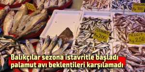 Balıkçılar sezona istavritle başladı, palamut avı beklentileri karşılamadı