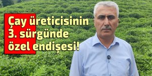 Çay üreticisinin 3. sürgünde özel endişesi!