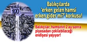 Balıkçılarda "erken gelen hamsi erken gider" endişesi!
