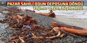 PAZAR SAHİLİ ODUN DEPOSU OLDU!
