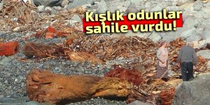 Selin taşıdığı odunlar kışlık yakacak oldu!
