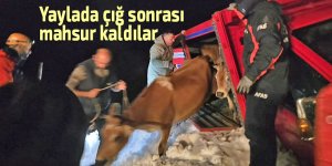 Yaylada çığ sonrası mahsur kalan vatandaşlar kurtarıldı